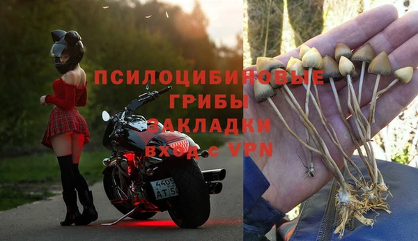 метадон Алзамай